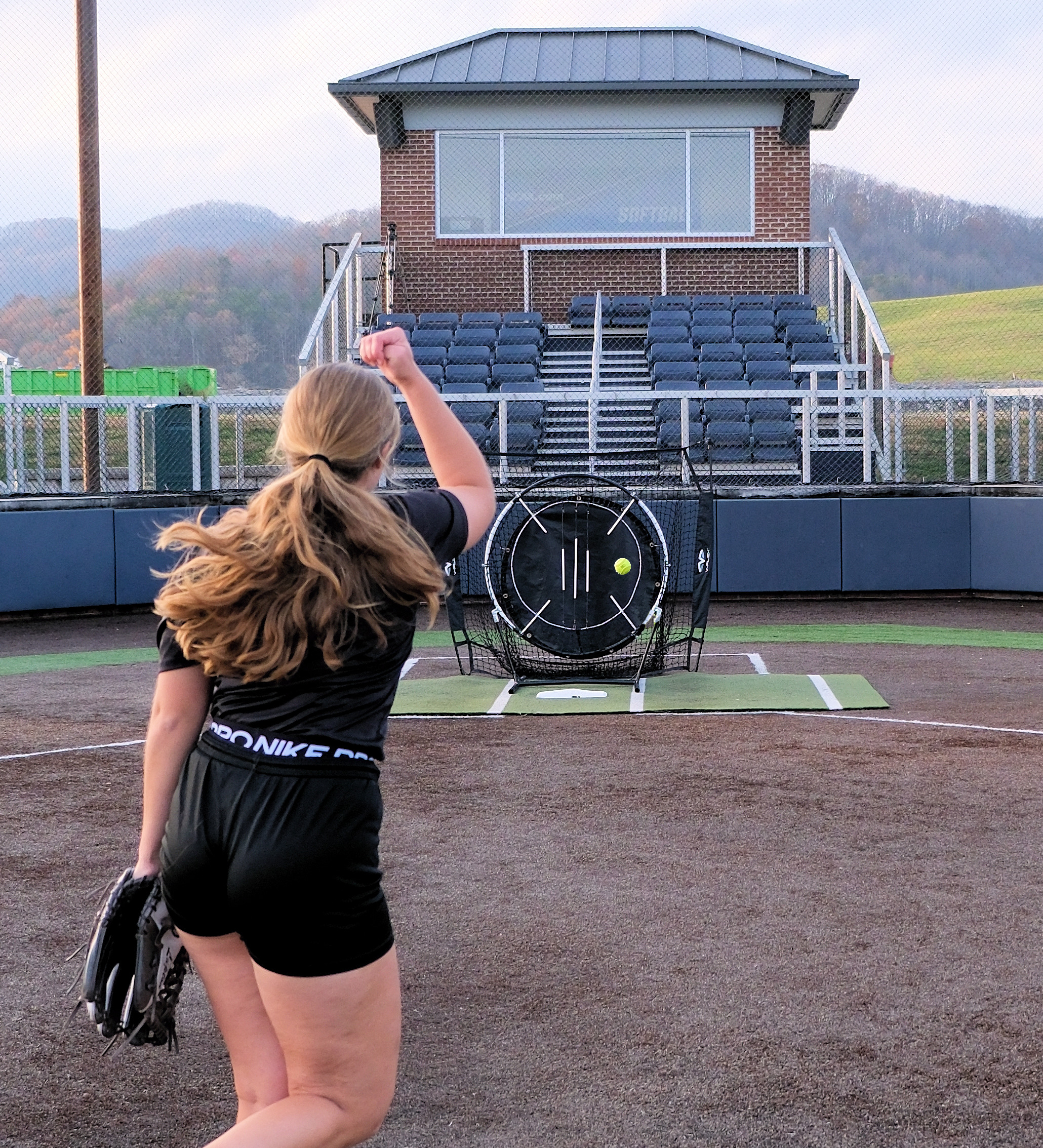 Softball Strike Zone Trainer - V-Flex Sports