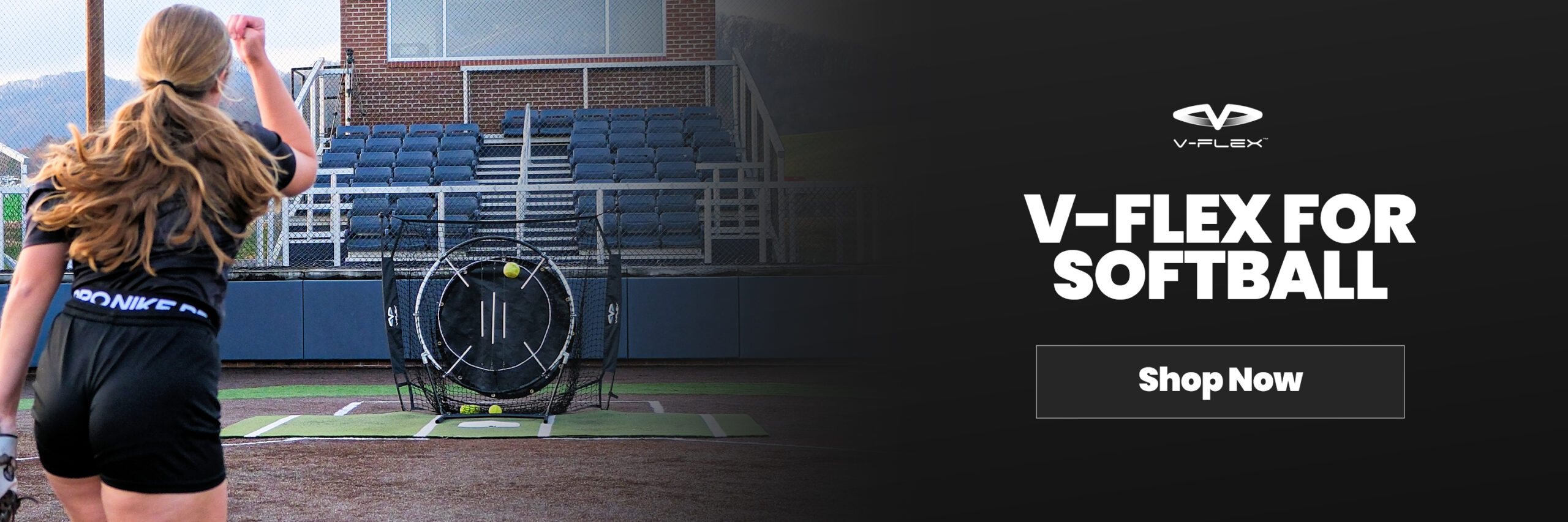V Flex Softball Desktop